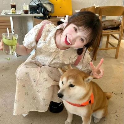 永不后悔爱上你
