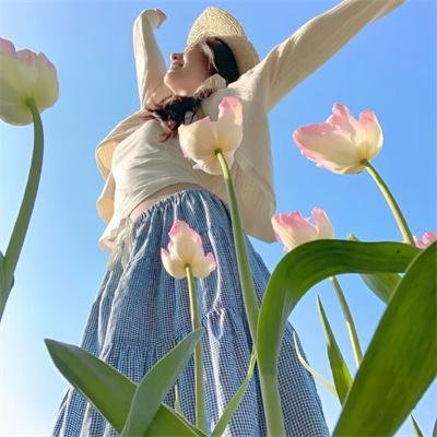 宾果：晨光之王